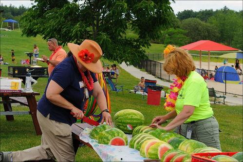 周末愉快科学吃瓜